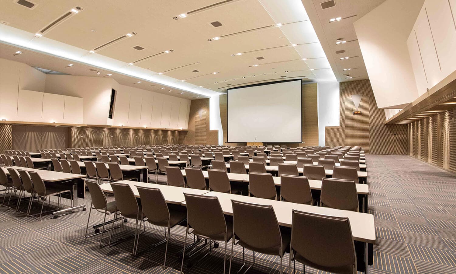 Large conference hall set up for a national working session